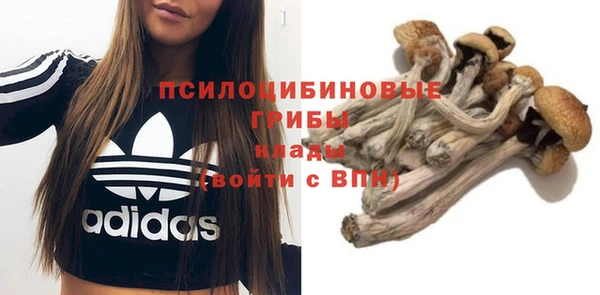 шишки Волосово