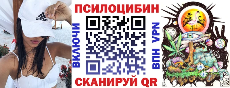 Купить  Каменск-Уральский  Псилоцибиновые грибы Psilocybine cubensis 