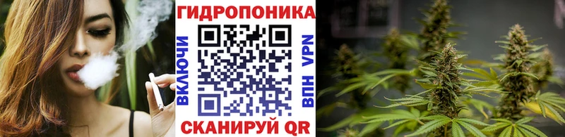 Купить где  Каменск-Уральский  Бошки Шишки Ganja 